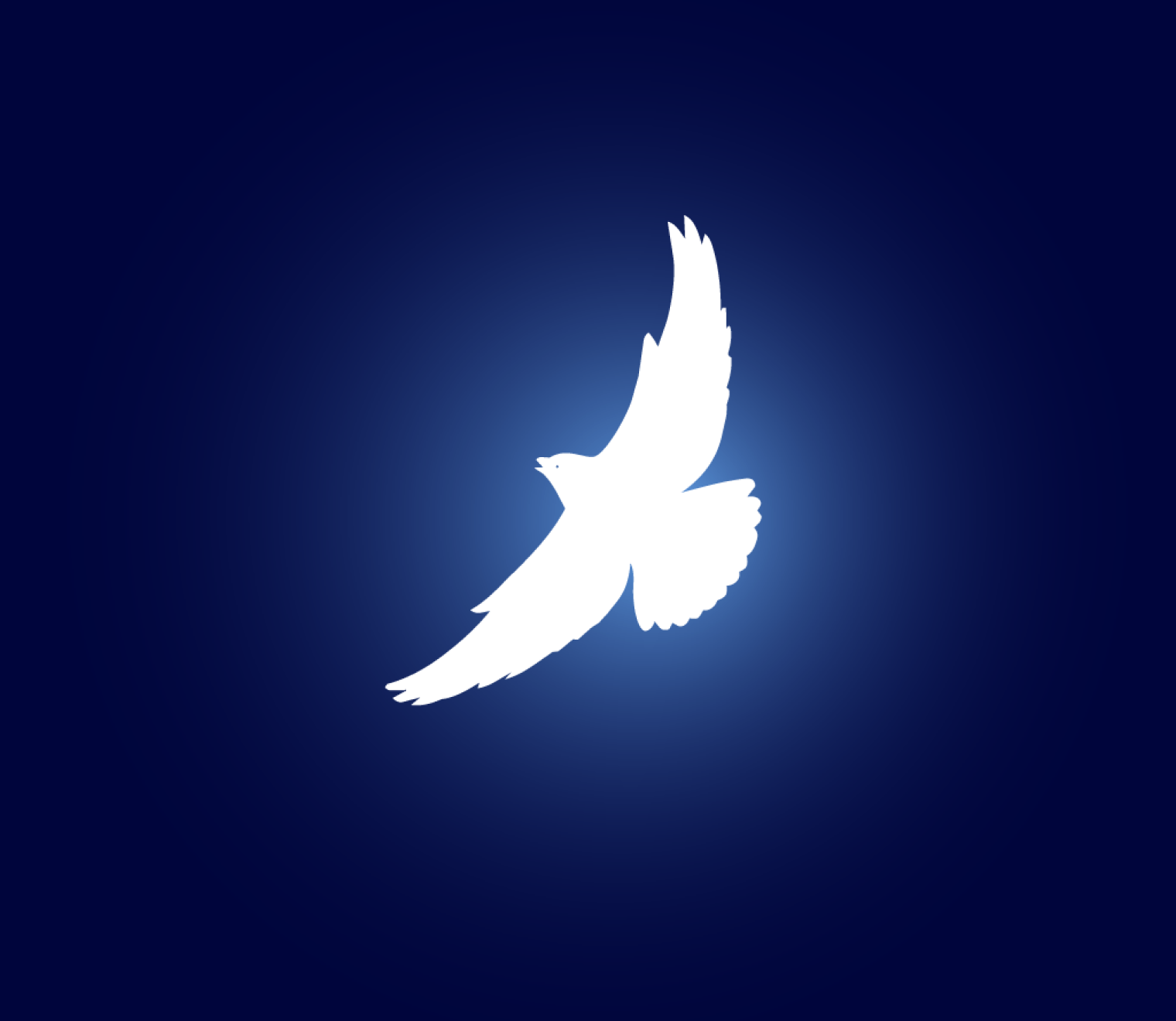 Eluven dove illustration